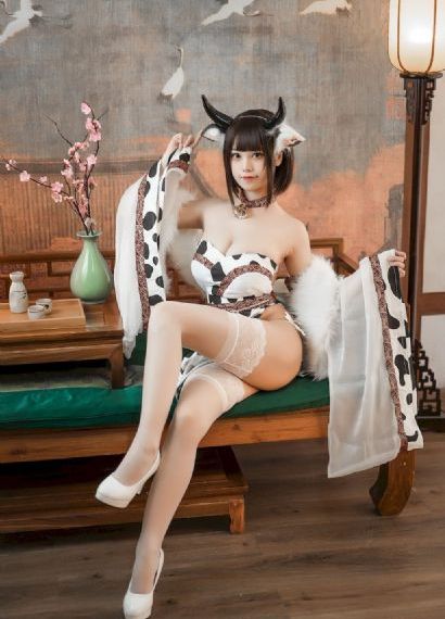 猫的报恩